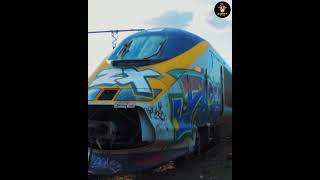 दुनिया की 3 लावारिस पड़ी हुई ट्रेन   Unclaimed train  facts stonefact airplane train video [upl. by Eolhc746]