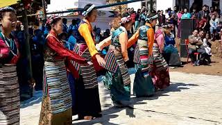 Bermiok Norbu Gang Gumpa Sherpa Dance for Gyalpo Losar 2020 at Bermiok PalakSouth Sikkim [upl. by Betthezul]