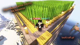 NAJWIEKSZA FARMA TRZCINY NA SERWERZE  ZAMKNELI NAS W BOXIE  Tryb BOXED  loofcraftpl  MINECRAFT [upl. by Seana609]