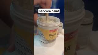 italy paint sancora [upl. by Brenton]