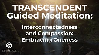 TRANSCENDENT Guided Meditation quotInterconnectedness and Compassion Embracing Onenessquot [upl. by Aylat970]