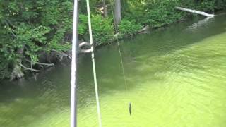 Big Bass Break Rods KeeP ReeLing [upl. by Colbert]