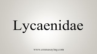 How To Say Lycaenidae [upl. by Guild]