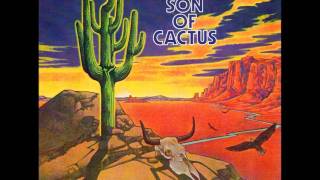 The New Cactus Band  Ragtime Suzy [upl. by Hagood]