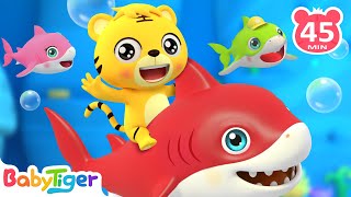 Baby Shark amp Baby Tigers  More Animal Songs amp Nursery Rhymes  BabyTiger [upl. by Aonian203]