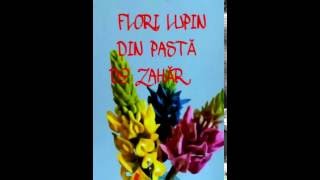 LUPIN DIN PASTA DE ZAHAR [upl. by Lemuel]