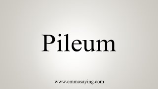 How To Say Pileum [upl. by Margalit806]