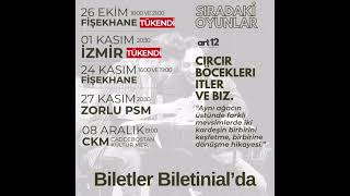 🎫 BİLETLER BİLETİNİAL’DA 🪲 CIRCIR BÖCEKLERİ İTLER VE BİZ [upl. by Dyrrej]