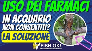 💊 Uso dei farmaci in acquario non consentiti ➡️ La soluzione [upl. by Dombrowski]