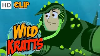 Wild Kratts  Microscopic Martin [upl. by Ziom283]