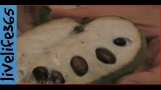 How toEat Cherimoya [upl. by Eniaral]