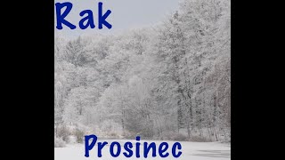 RAK❤️💙koho mám pozvat na punč [upl. by Alohs]