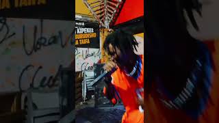 SINGELI MICHANO freestyle kenyadigitalnews platnumz freestyle bongomusic bongosta dancehall [upl. by Hevak650]