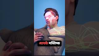 Rabies Symptoms😱  रेबीज़ सिंपटम्स Explained shorts youtubeshorts short [upl. by Forras]