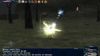 FFXI  BCNM 20 Wings of Fury the tricks [upl. by Kenelm]