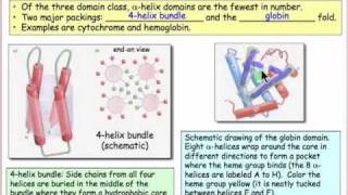 Alphahelix Domains [upl. by Woolley]