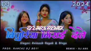 Bijuriya New Nagpuri Dj Song 2024 Prod Dj Lover07 23 [upl. by Otrebliw]