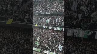 Hammarby [upl. by Skyla]