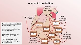 Intro to EKG Interpretation  Myocardial Infarctions Part 1 of 2 [upl. by Irtemed]