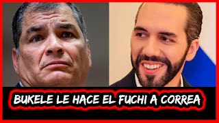 Bukele le hace el fuchi a Correa entérate [upl. by Nanis833]