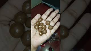 Cadbury Nutties 😋nuttiescadbury chocolate viral trending shorts youtubeshorts [upl. by Maiah759]