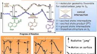 Photochemical Reaction Pathways [upl. by Scheers339]