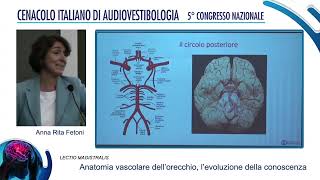 Anatomia vascolare dellorecchio evoluzione delle conoscenze [upl. by Esereht376]