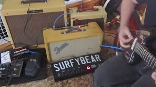 Reverb Battle Surfy Bear Fights a Fender reverb Unit [upl. by Zachariah]