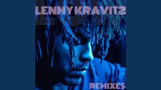 Lenny Kravitz  Low DIMMI Remix [upl. by Razid]