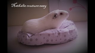 Tutoriel pour réaliser un coussin pour nos amis à 4 pattes [upl. by Cavill]