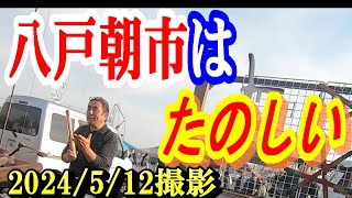 【八戸朝市】【日本一】【舘鼻岸壁】楽しい巨大朝市を最後までお楽しみください。 [upl. by Tony]