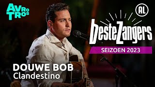 Douwe Bob  Clandestino  Beste Zangers 2023 [upl. by Erret890]