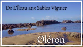 Île dØléron de LÎleau aux Sables Vignier entre plages et dunes Randonnée facile avec tracé [upl. by Kelsey]