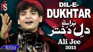 Ali Jee  Dil e Dukhtar  2013  علی جی شگفت انگیز بچه پاکستان [upl. by Mauceri]