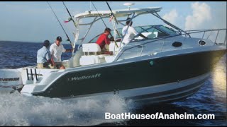 Wellcraft 290 Coastal 2006 Model Year with Twin Yamaha 250HP [upl. by Jolie]