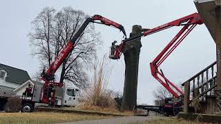 NEW Fassi 600 grapplesaw crane 3rd largest pin oak in Nebraska [upl. by Oliviero]