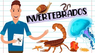 RESUMO  ANIMAIS INVERTEBRADOS [upl. by Trevor]