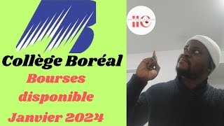 ADMISSION AU COLLÈGE BORÉAL AVEC BOURSES D’ÉTUDE  JANVIER 2024 [upl. by Bard]