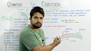 Osmosis Vs Diffusion  Concept Of Passive transport [upl. by Aikcir]