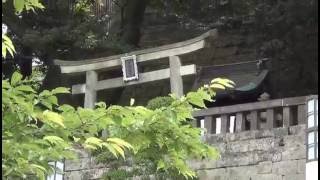 Travelogue in Japan Utsunomiya Futaarayama Shrine volume 55 [upl. by Ellene85]