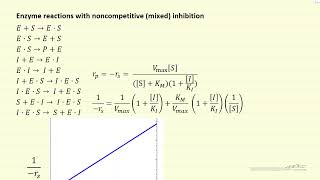 Lineweaver Burke plots for Michaelis Menten Enzyme Kinetics [upl. by Anitirhc]