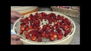 How to dehydrate strawberries [upl. by Huntlee336]