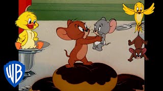 Tom amp Jerry  Jerrys Best Allies 🐭  Classic Cartoon Compilation  wbkids​ [upl. by Ahtamat]