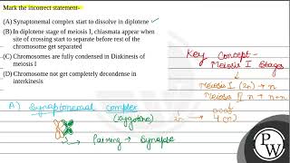 Mark the incorrect statement 1 Synaptonemal complex start to dissolve in diplotene 2 In dip [upl. by Eleirbag523]