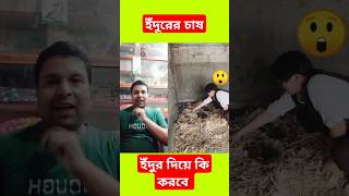 ইদুর দিয়ে কি করবে facts youtub barite funny funnyshorts viralral motivation tips [upl. by Atinuj925]