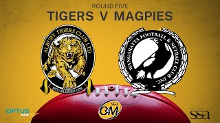 R05 2023  Albury Tigers vs Wangaratta Magpies [upl. by Adia513]