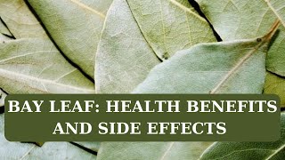 BAY LEAF HEALTH BENEFITS AND SIDE EFFECTS  BAY LEAF HEALTH BENEFITS amp USES [upl. by Anurag557]