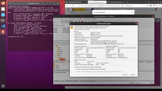 Configurar ProFTP con VirtualHost y TLS en Ubuntu [upl. by Alemrac]