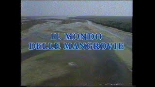 Il mondo delle mangrovie  1983 [upl. by Ruhtua]