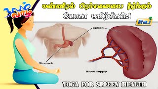 மண்ணீரல் பிரச்சனையை தீர்க்கும் யோகா பயிற்சிகள்  Yoga For Spleen Health  யோகா For Health  Raj Tv [upl. by Gaither]